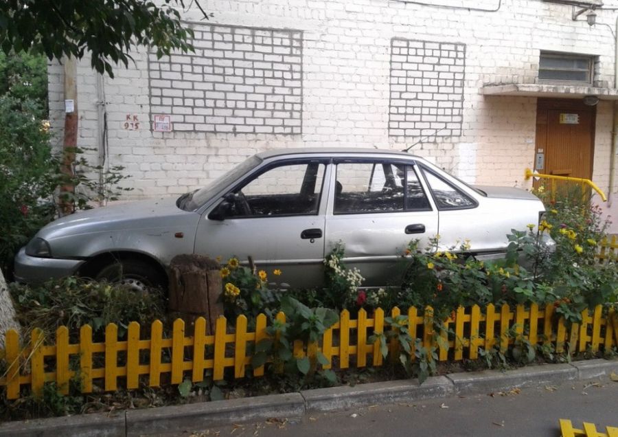 Я паркуюсь где хочу (27 фото)