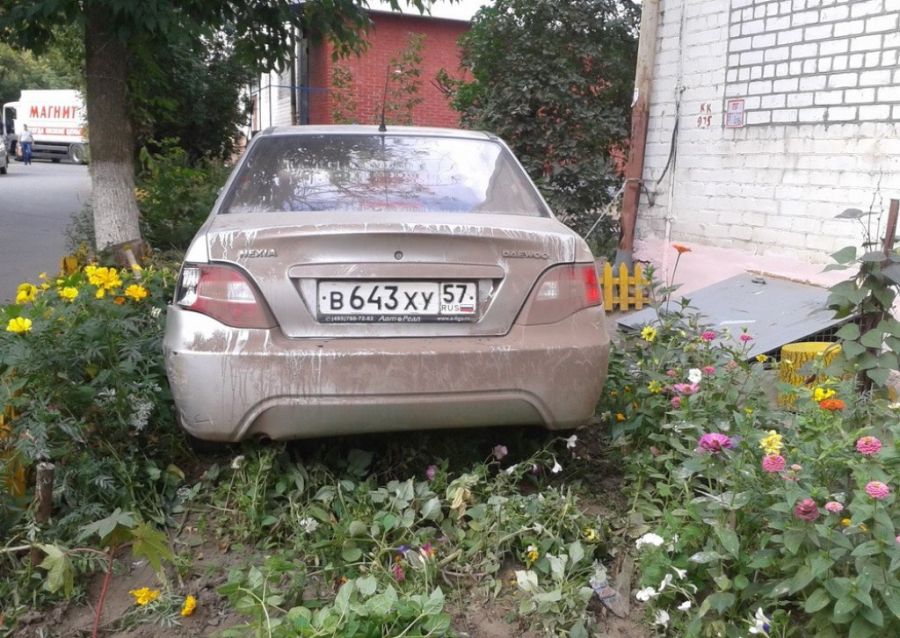 Я паркуюсь где хочу (27 фото)