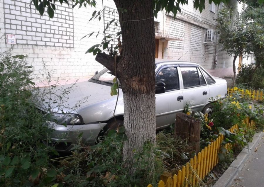 Я паркуюсь где хочу (27 фото)