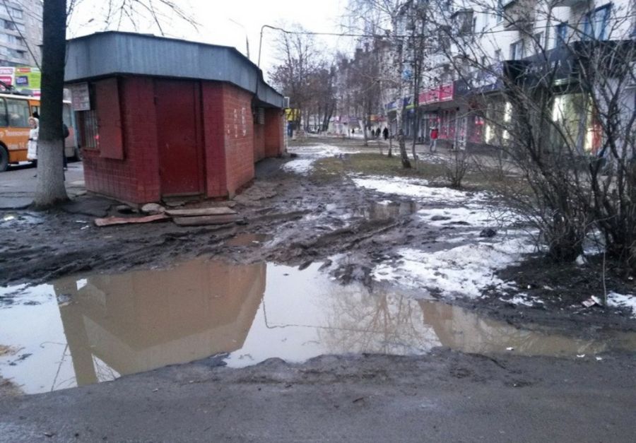 Я паркуюсь где хочу (27 фото)