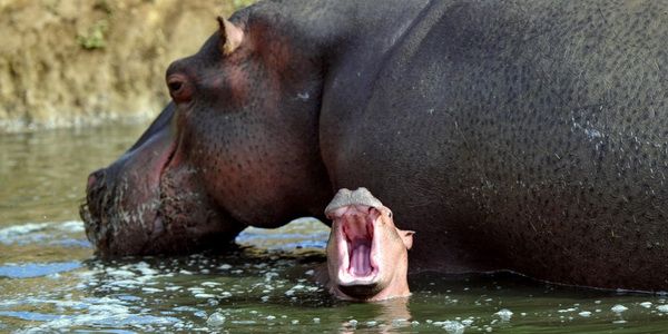 Интересные факты о воде (12 фото) Интересные факты о воде (12 фото)