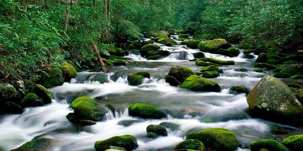 Интересные факты о воде (12 фото) Интересные факты о воде (12 фото)