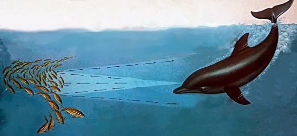 Интересные факты о воде (12 фото) Интересные факты о воде (12 фото)