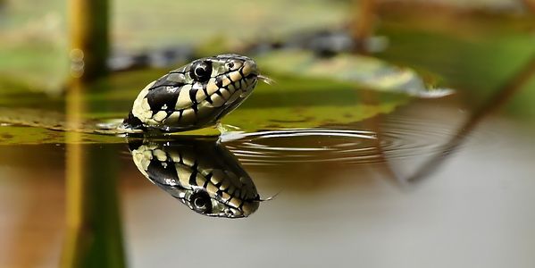 Интересные факты о воде (12 фото) Интересные факты о воде (12 фото)