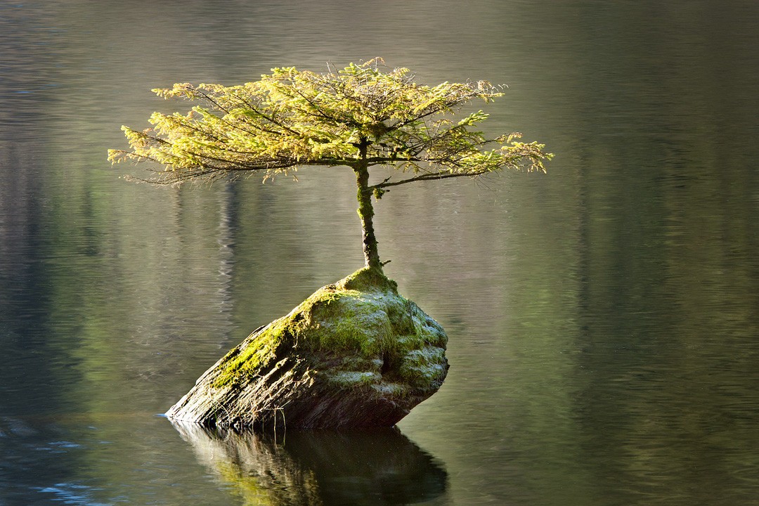 Без фотошопа