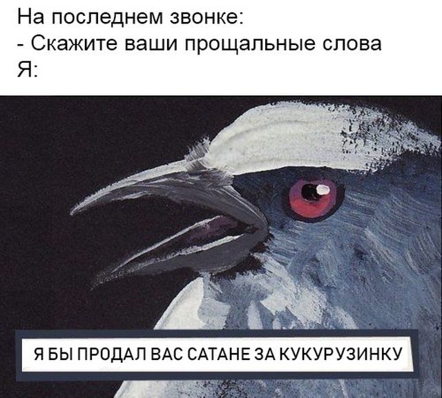 Шутки на тему последнего звонка