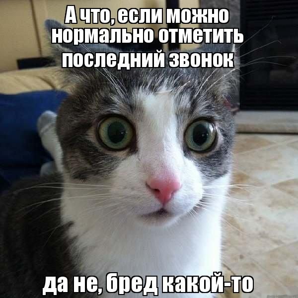 Шутки на тему последнего звонка