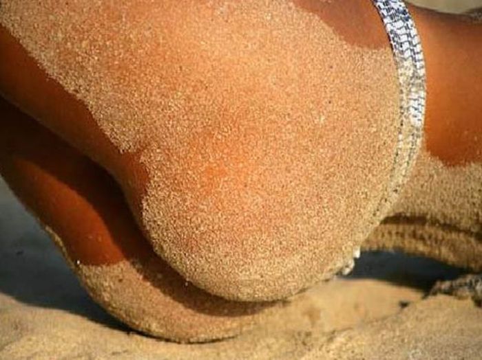 Бразильские попки