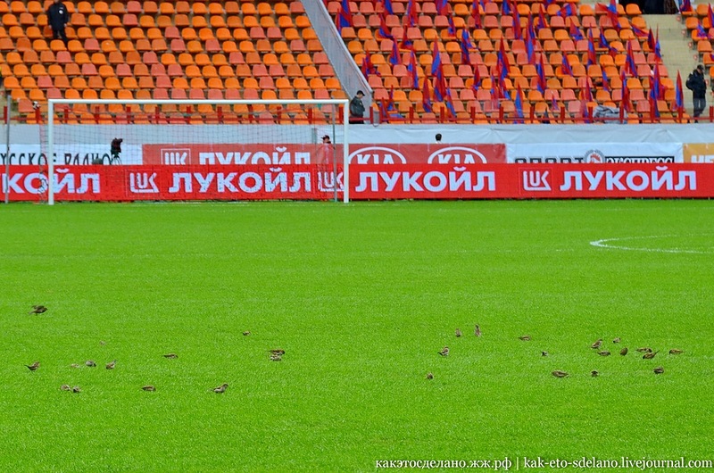Как организована съемка футбольного матча Как организована съемка футбольного матча