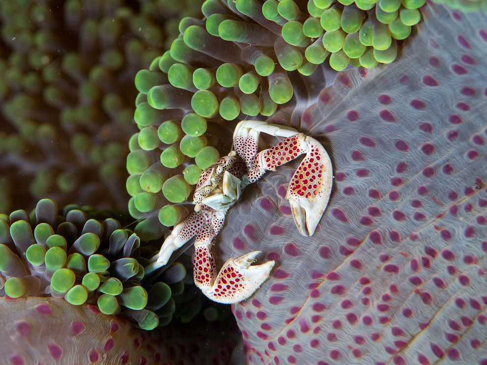 National Geographic: лучшие фотографии июля