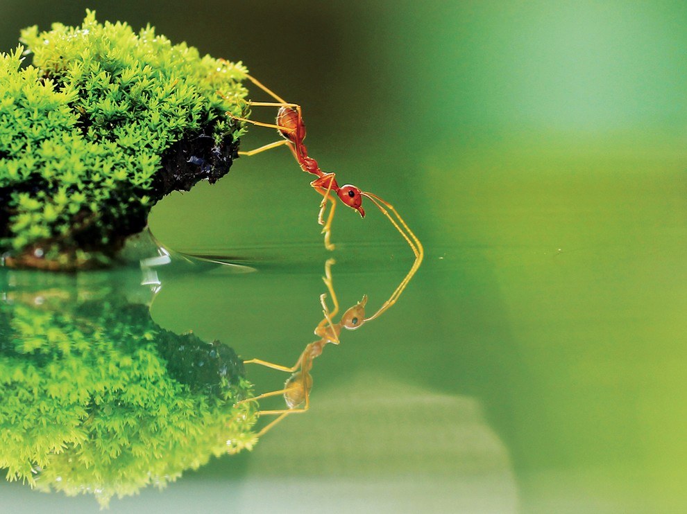 National Geographic: лучшие фотографии июля