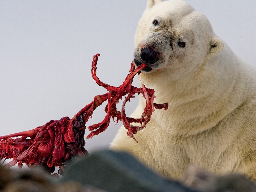 National Geographic: лучшие фотографии июля