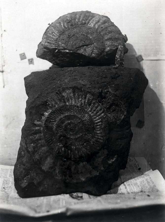 Как строили первую очередь Московского метрополитена (75 фото)