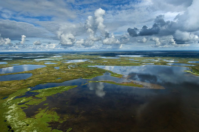 10 ШОКИРУЮЩИХ ФАКТОВ о том, как мы теряем природу России
