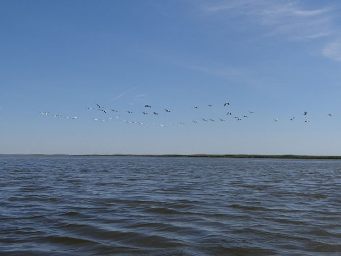 10 ШОКИРУЮЩИХ ФАКТОВ о том, как мы теряем природу России