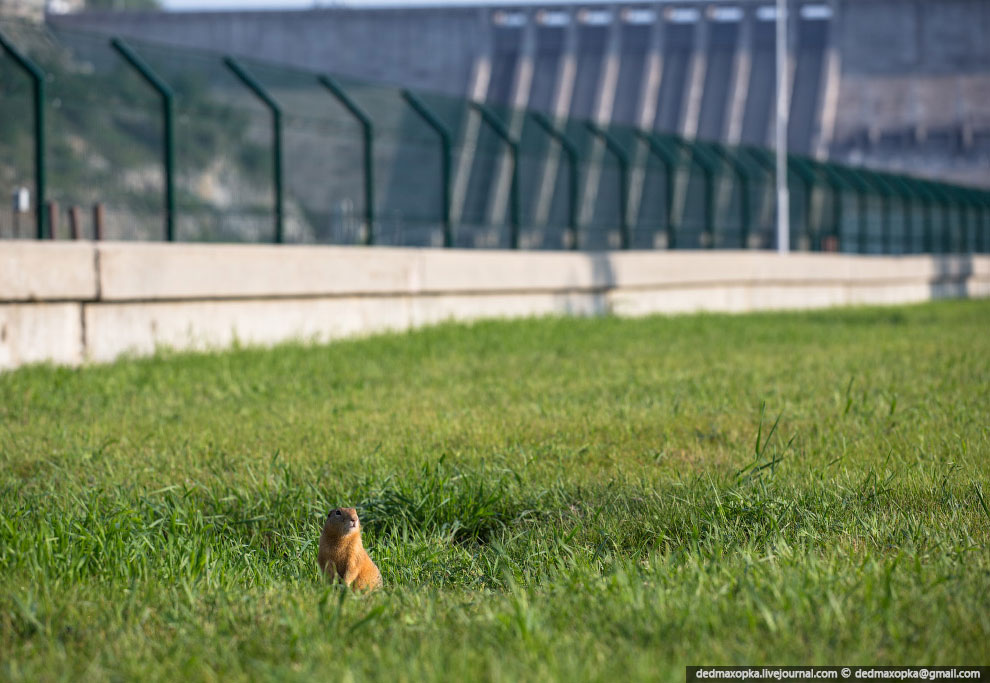 Зейская ГЭС в Амурской области (28 фото)