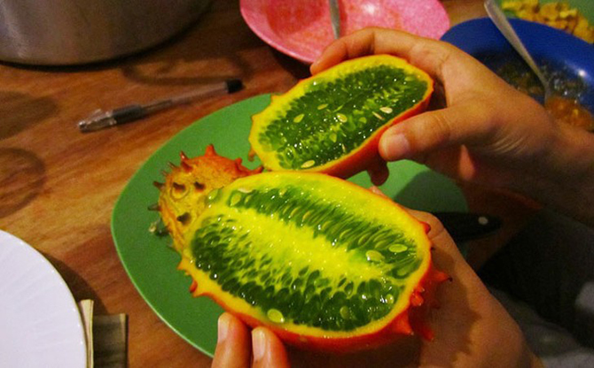 10 разновидностей огурцов, о которых вы даже не слышали