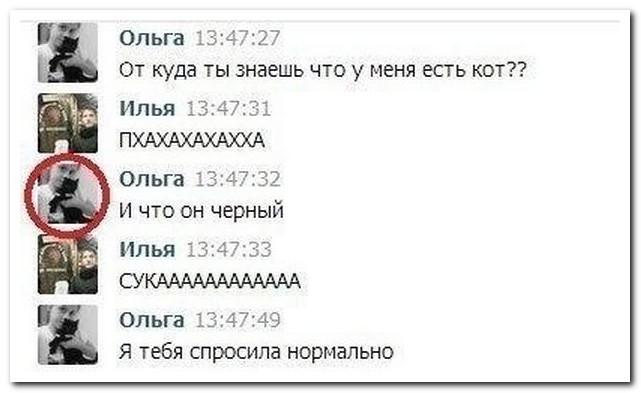 Смешные комментарии из социальных сетей