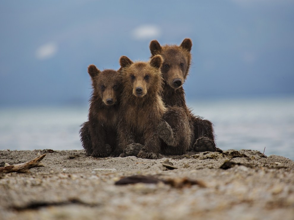 National Geographic: лучшие фотографии сентября National Geographic: лучшие фотографии сентября