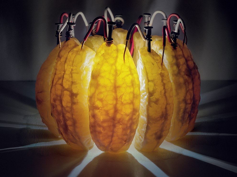 National Geographic: лучшие фотографии сентября National Geographic: лучшие фотографии сентября