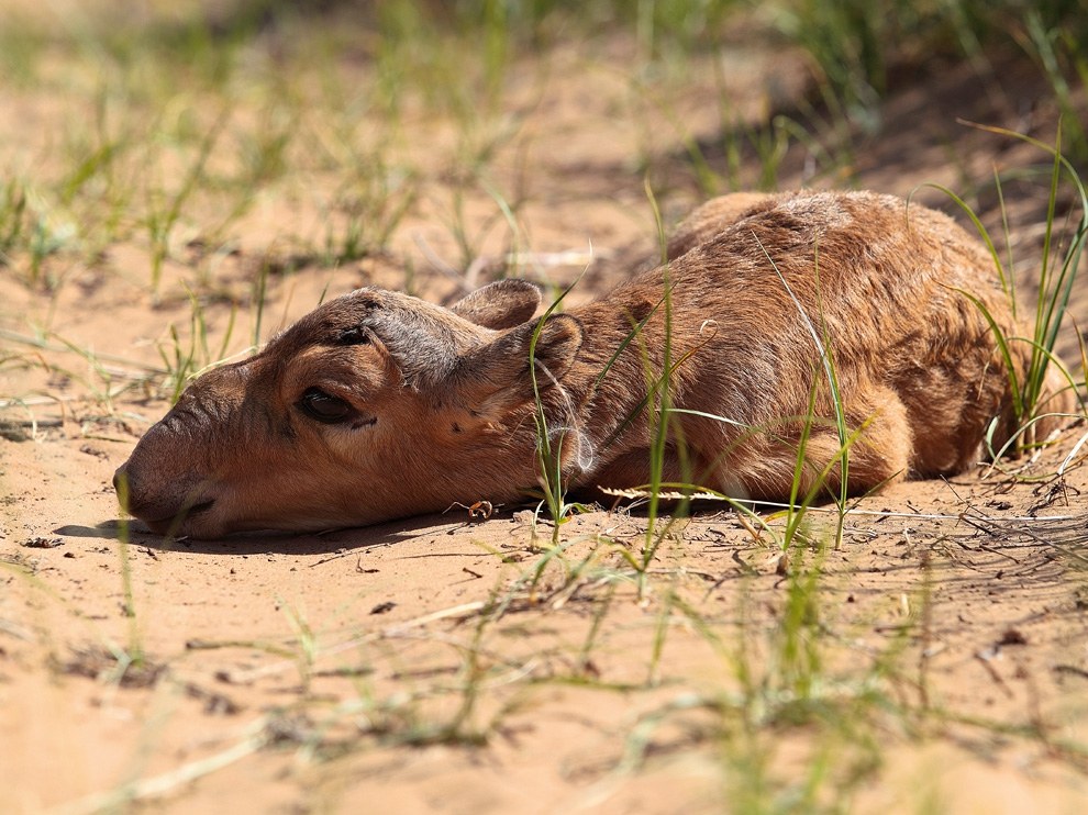National Geographic: лучшие фотографии сентября National Geographic: лучшие фотографии сентября