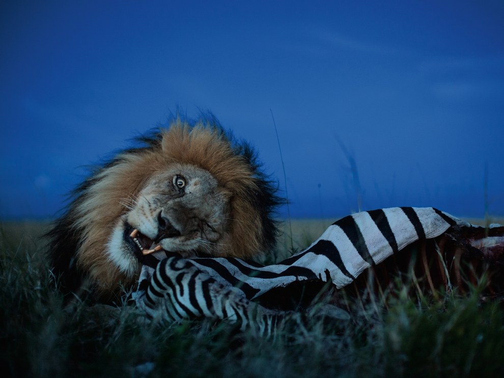 National Geographic: лучшие фотографии сентября National Geographic: лучшие фотографии сентября