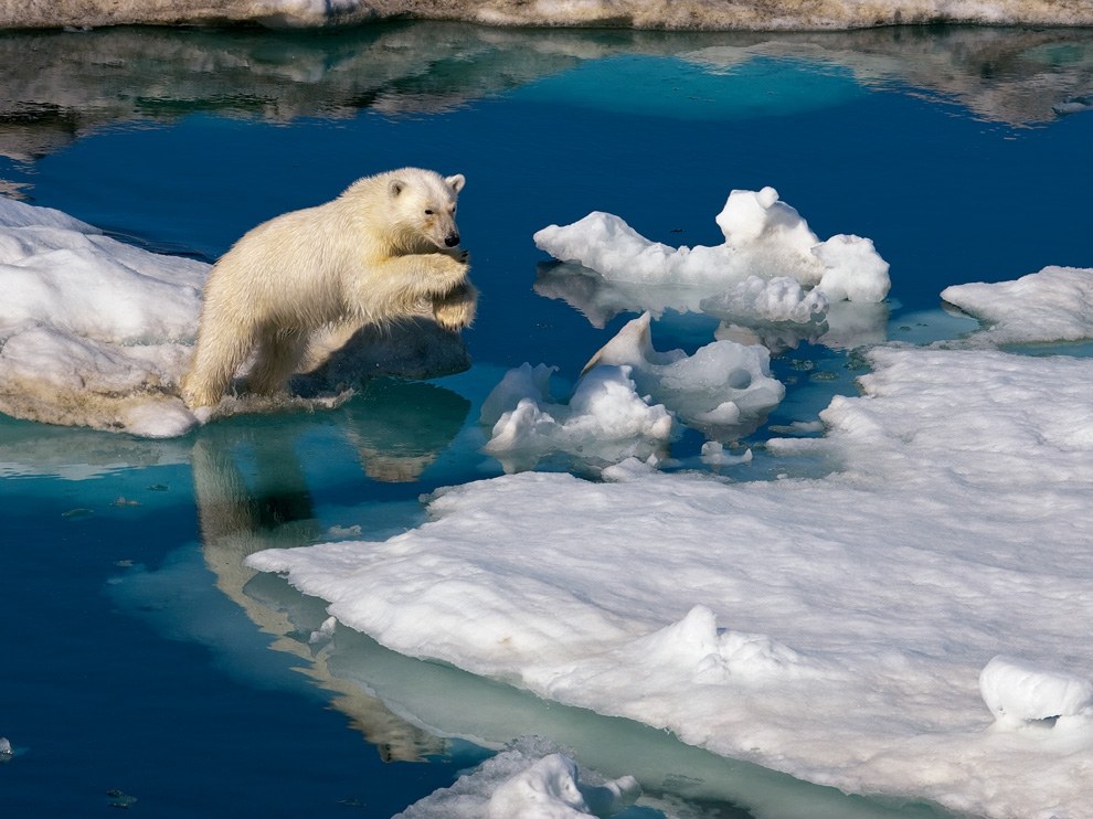National Geographic: лучшие фотографии сентября National Geographic: лучшие фотографии сентября