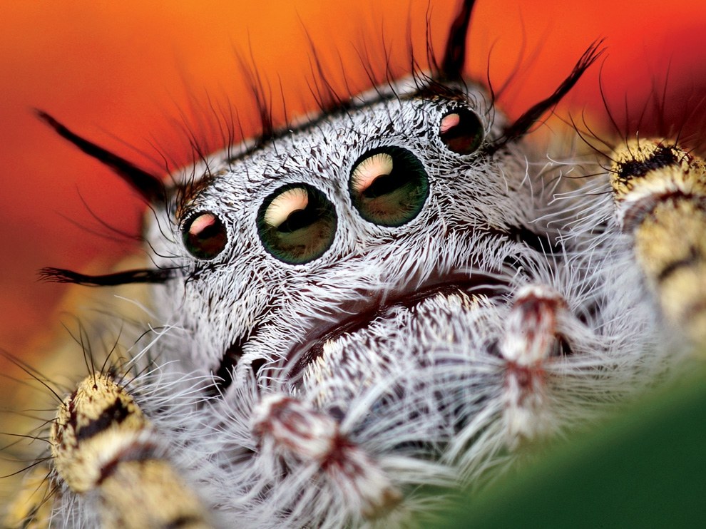 National Geographic: лучшие фотографии сентября National Geographic: лучшие фотографии сентября