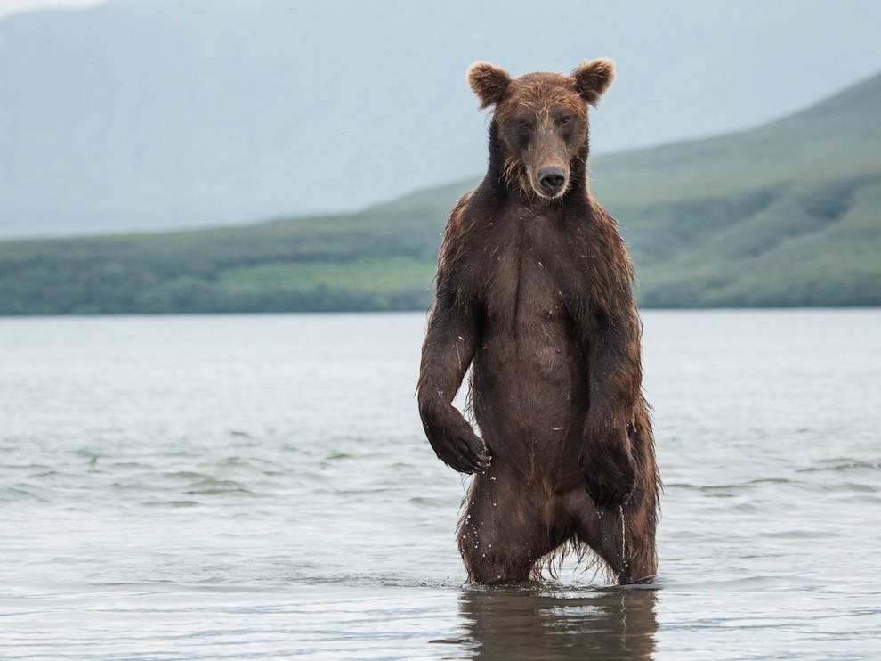 National Geographic: лучшие фотографии сентября National Geographic: лучшие фотографии сентября