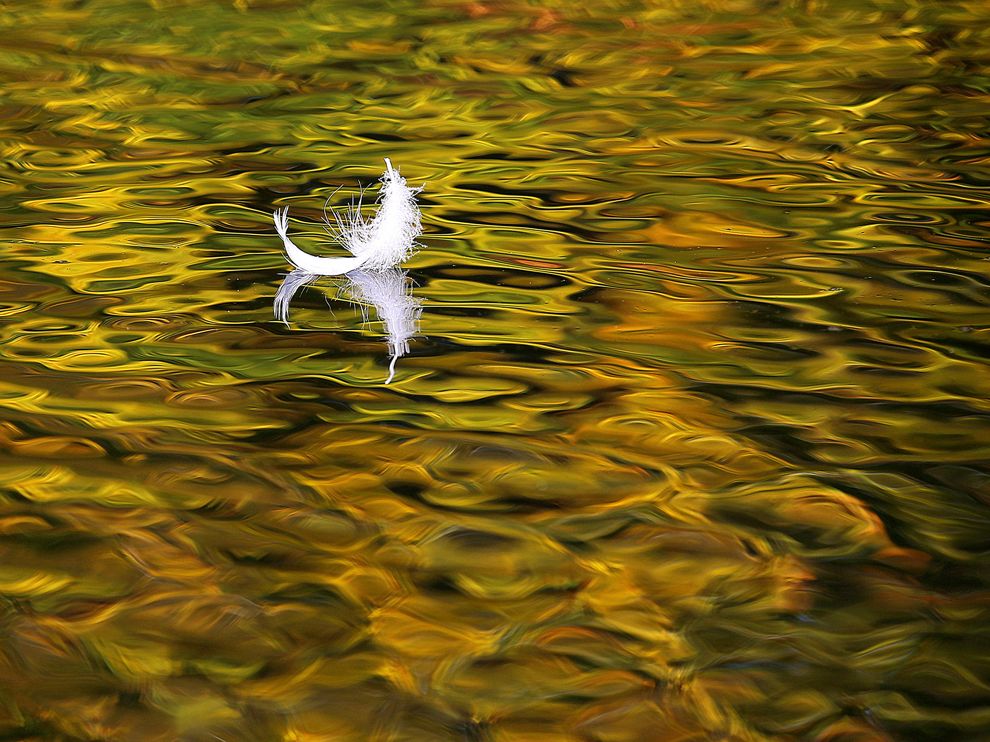 National Geographic: лучшие фотографии сентября National Geographic: лучшие фотографии сентября