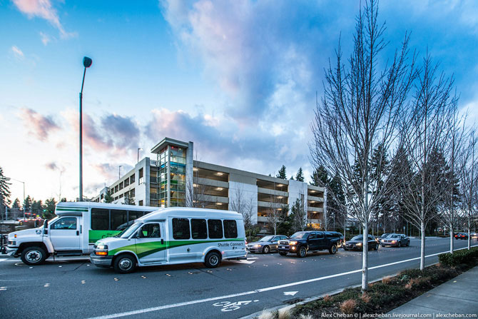 Компания без души