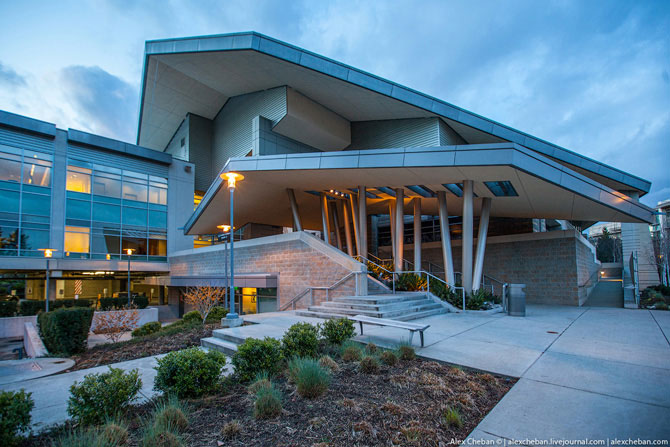 Компания без души