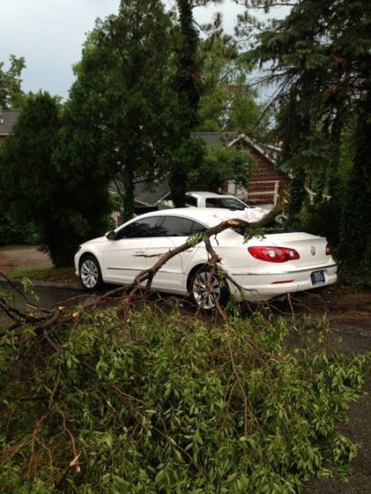 Приключения с автомобилями