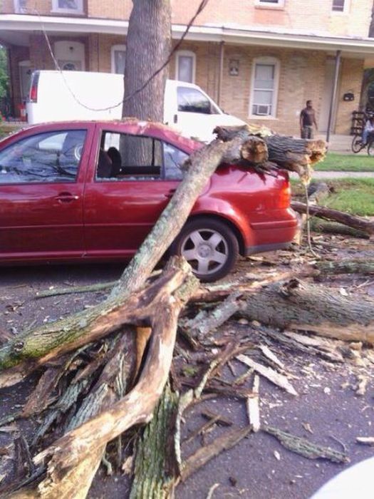 Приключения с автомобилями