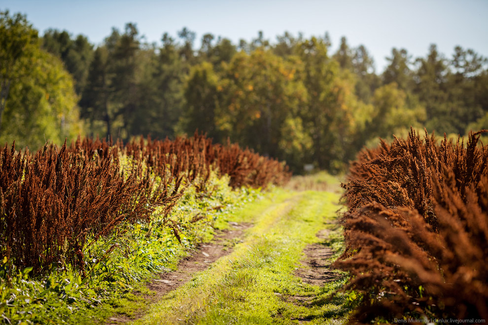 Камчатские пейзажи