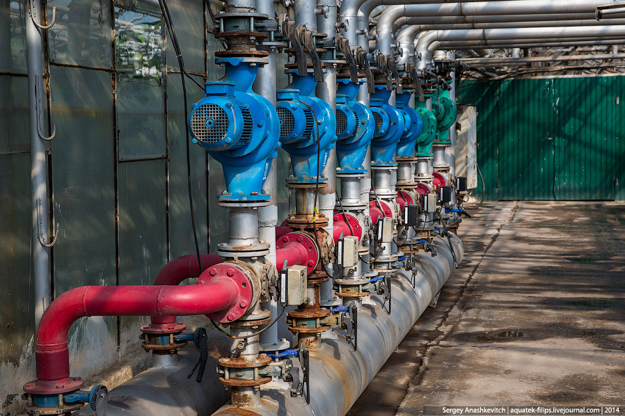 Большой огуречный коллайдер