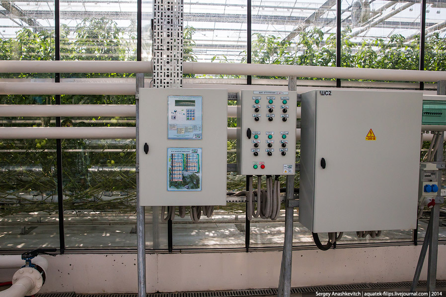 Большой огуречный коллайдер