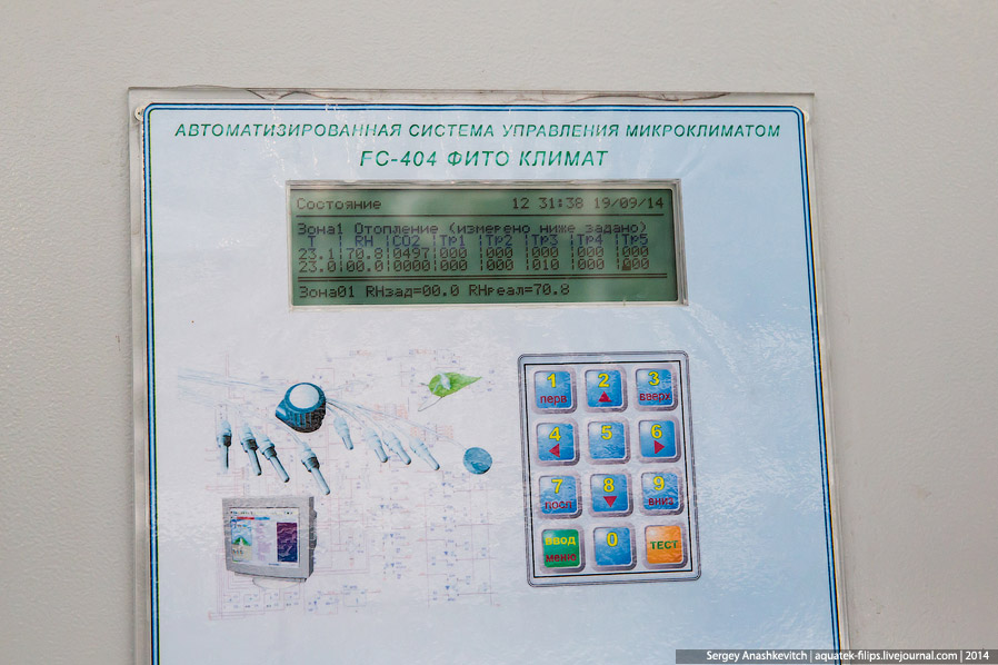 Большой огуречный коллайдер