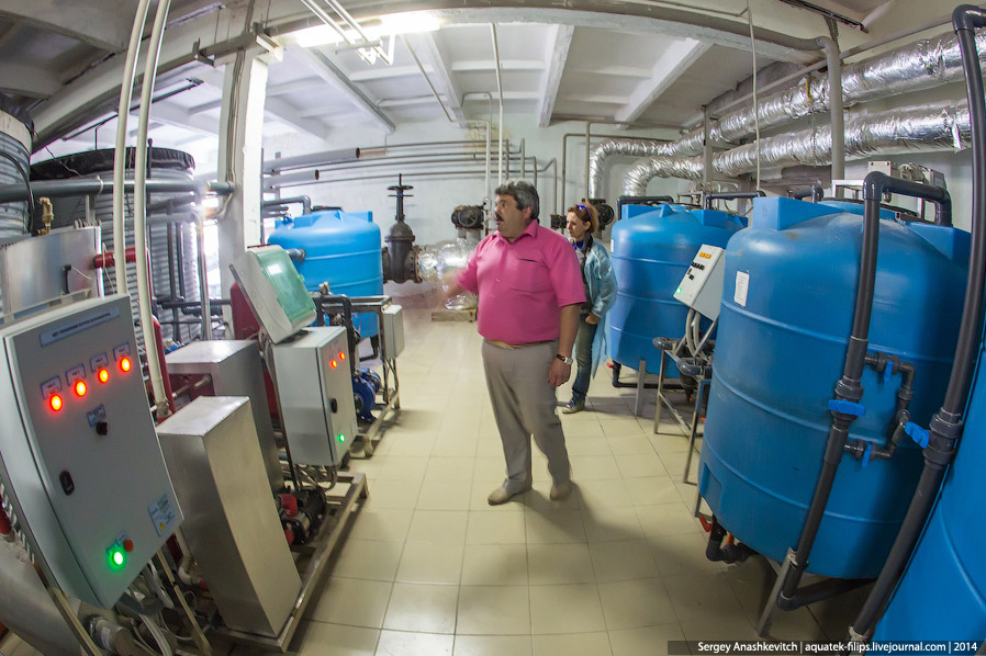 Большой огуречный коллайдер