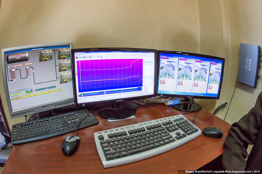 Большой огуречный коллайдер