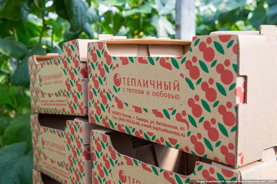 Большой огуречный коллайдер