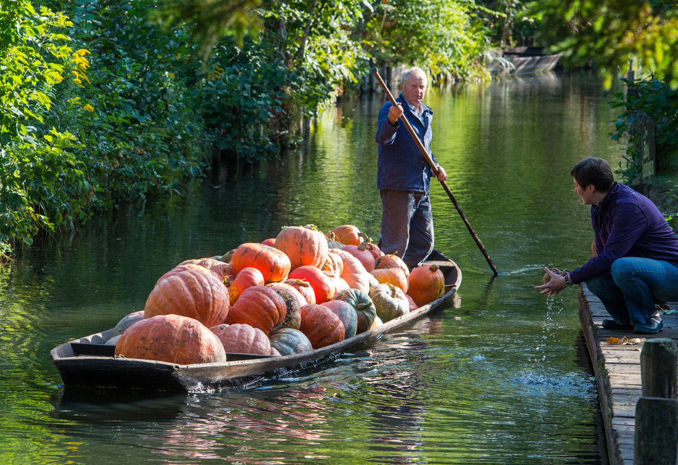 Золотая осень 2014