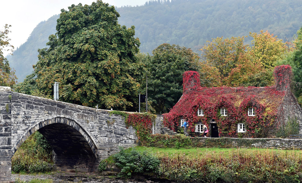 Золотая осень 2014