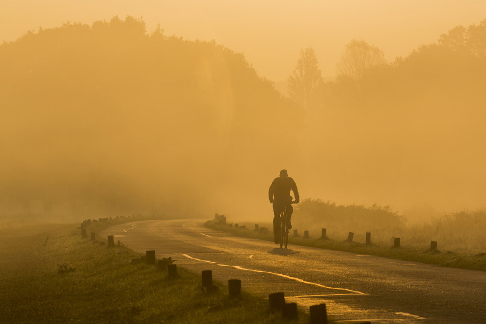 Золотая осень 2014