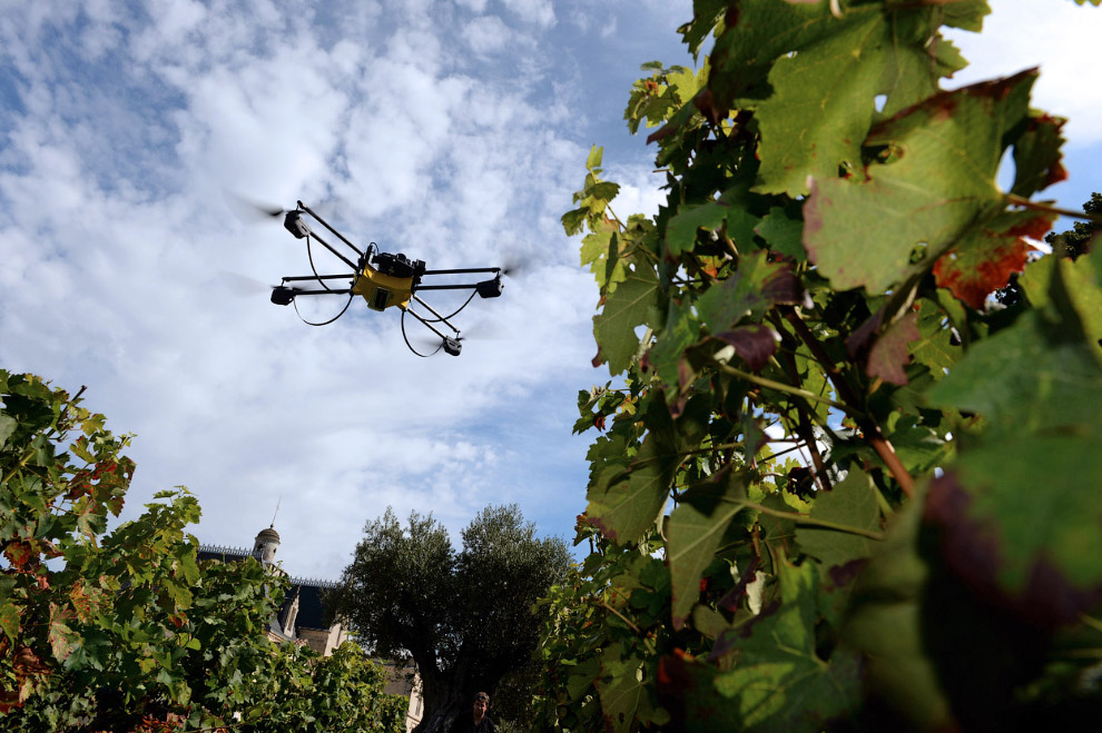 Золотая осень 2014