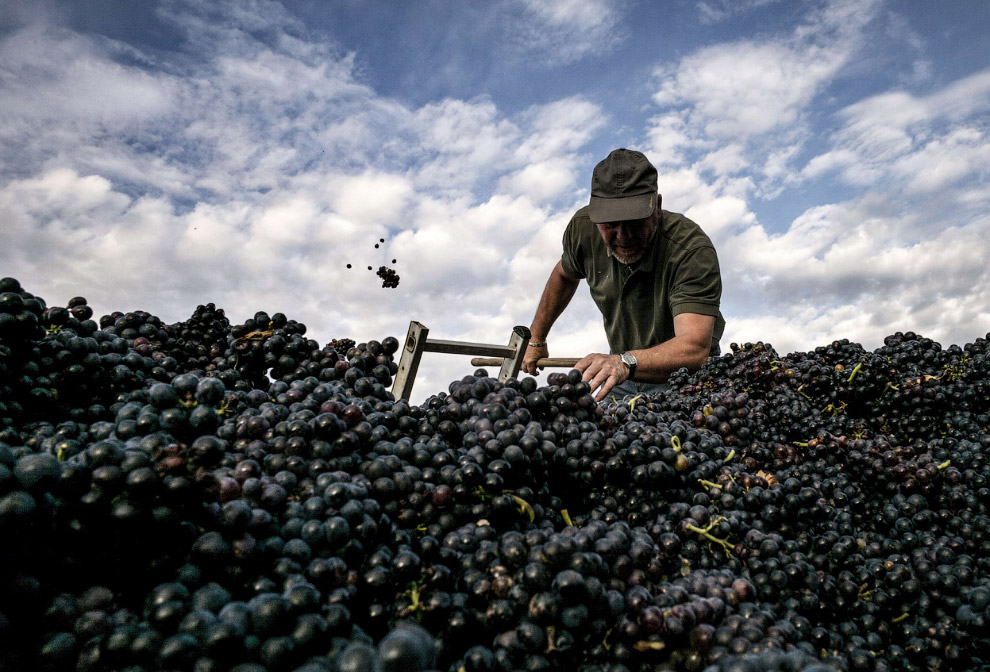 Золотая осень 2014