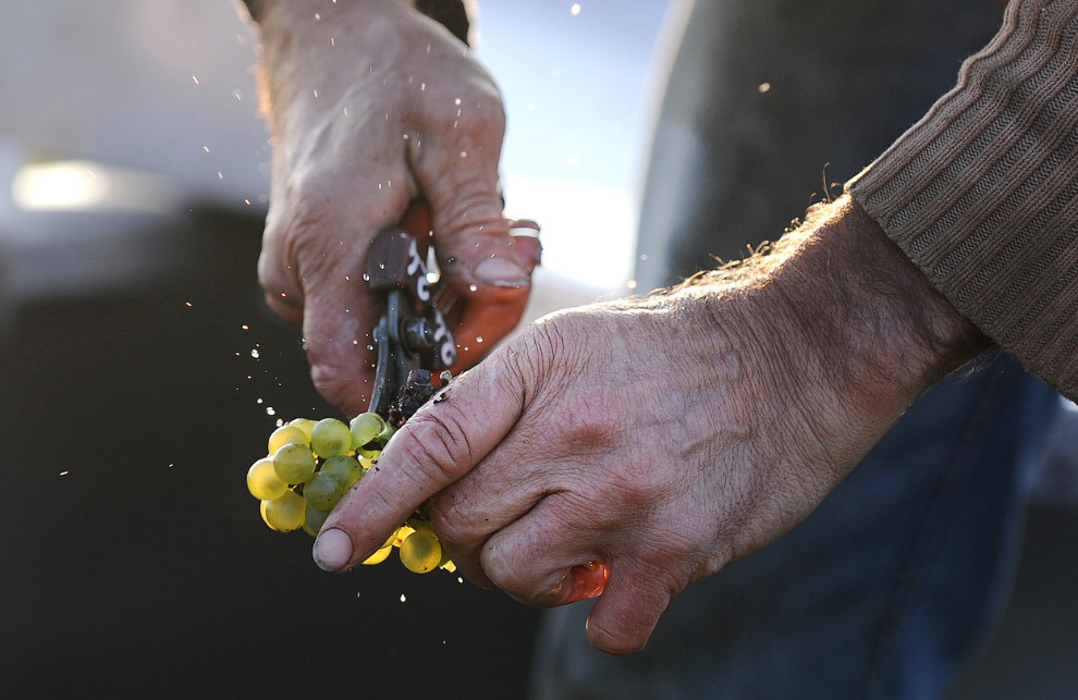 Золотая осень 2014