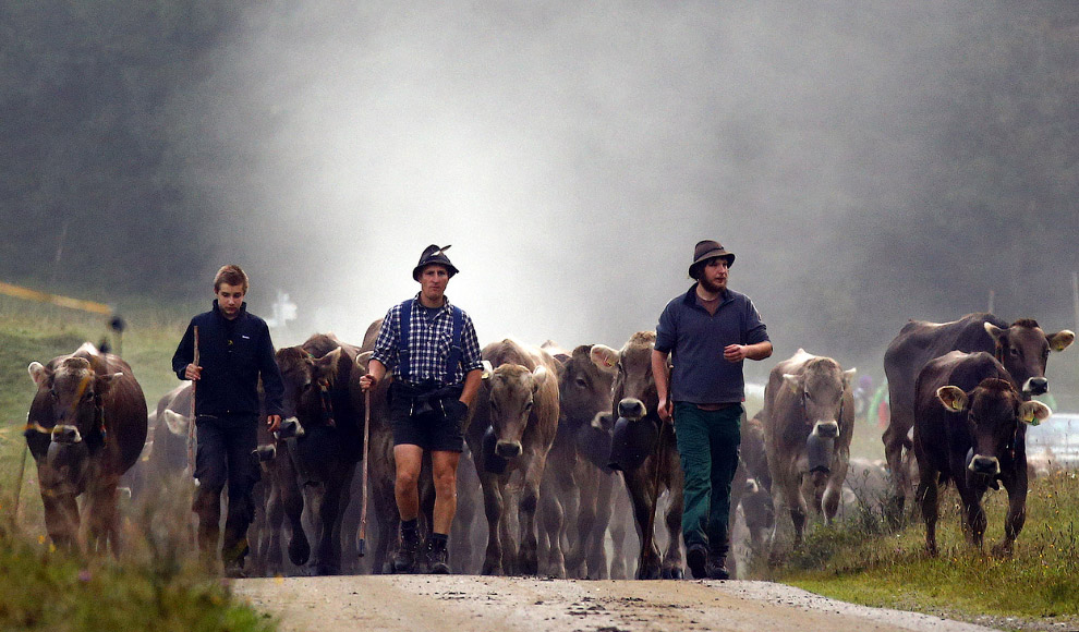 Золотая осень 2014