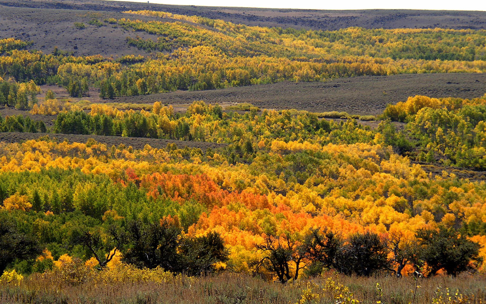 Золотая осень 2014