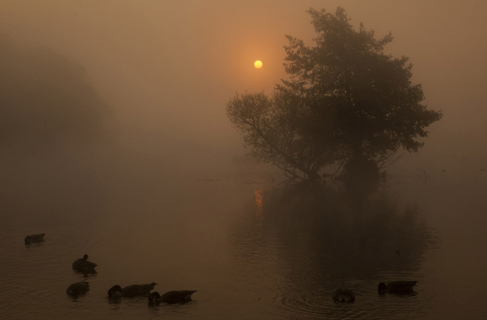 Золотая осень 2014